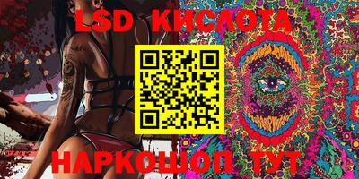 стаф Аргун