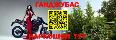 стаф Аргун